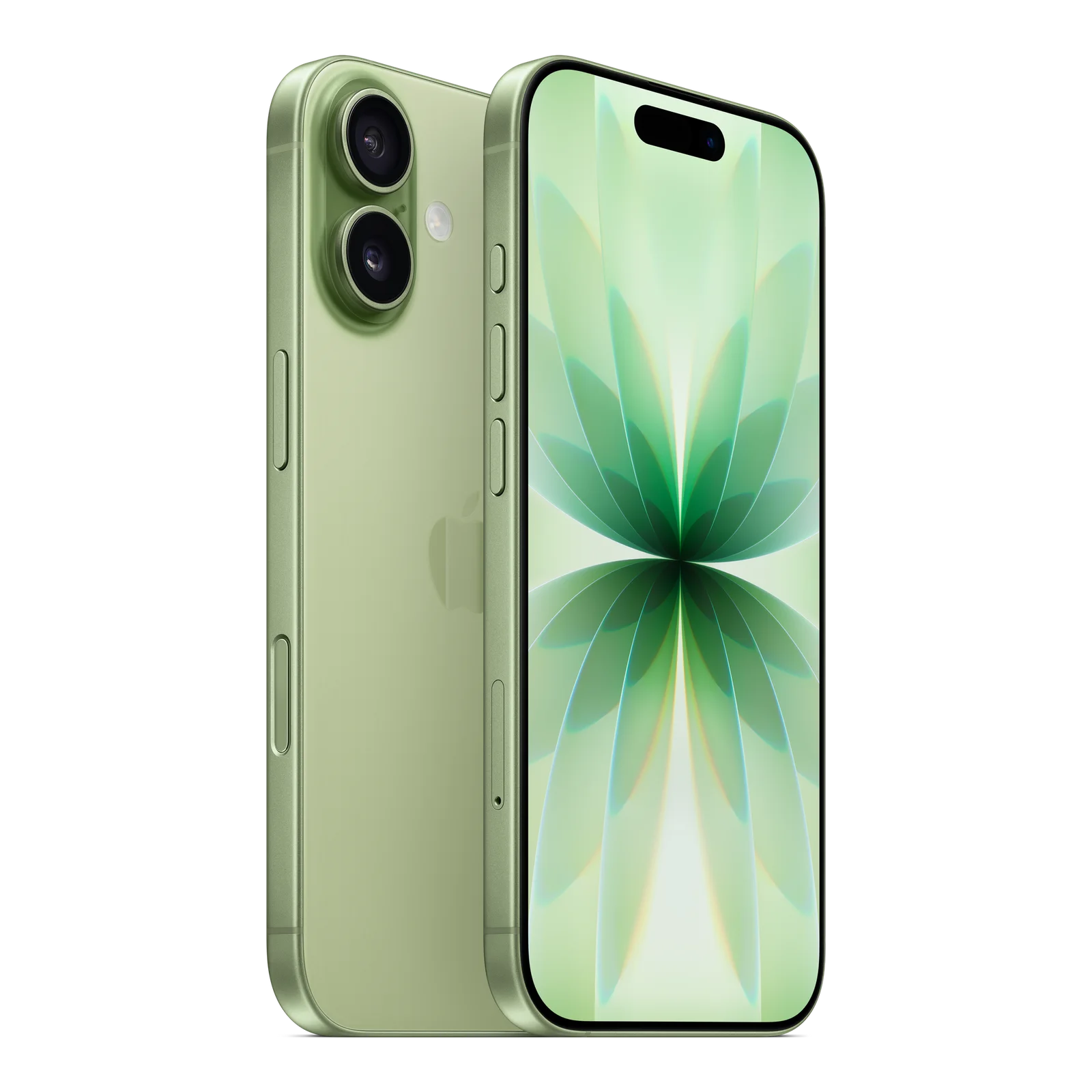 iPhone 17 세이지